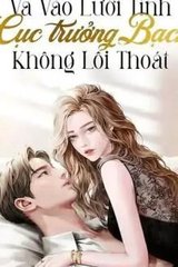 VA VÀO LƯỚI TÌNH CỤC TRƯỞNG BẠCH KHÔNG LỐI THOÁT