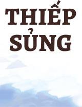 Thiếp Sủng