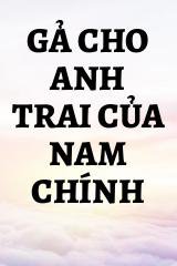 Gả Cho Anh Trai Của Nam Chính