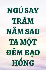 Ngủ Say Trăm Năm Sau Ta Một Đêm Bạo Hồng