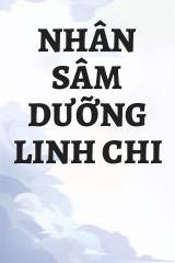 Nhân Sâm Dưỡng Linh Chi