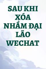 Sau Khi Xóa Nhầm Đại Lão Wechat