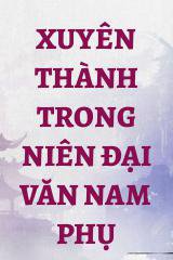 Xuyên Thành Trong Niên Đại Văn Nam Phụ