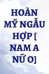 Hoàn Mỹ Ngẫu Hợp [ Nam A Nữ O]