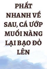 Phất Nhanh Về Sau, Cá Ướp Muối Nàng Lại Bạo Đỏ Lên