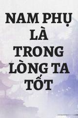 Nam Phụ Là Trong Lòng Ta Tốt