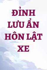 Đỉnh Lưu Ẩn Hôn Lật Xe