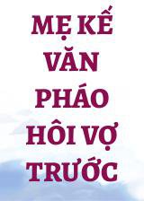 Mẹ Kế Văn Pháo Hôi Vợ Trước