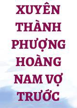 Xuyên Thành Phượng Hoàng Nam Vợ Trước