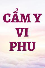 Cẩm Y Vi Phu