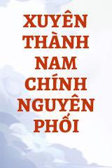 Xuyên Thành Nam Chính Nguyên Phối