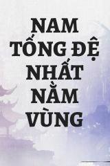 Nam Tống Đệ Nhất Nằm Vùng