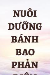 Nuôi Dưỡng Bánh Bao Phản Diện