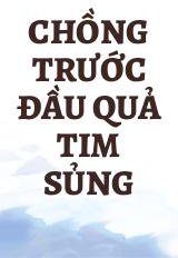 Chồng Trước Đầu Quả Tim Sủng