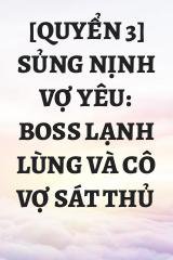 [Quyển 3] Sủng Nịnh Vợ Yêu: Boss Lạnh Lùng Và Cô Vợ Sát Thủ