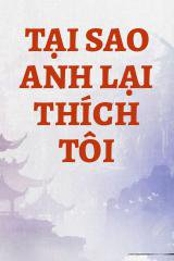 Tại Sao Anh Lại Thích Tôi