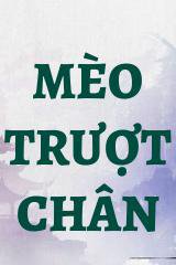 Mèo Trượt Chân