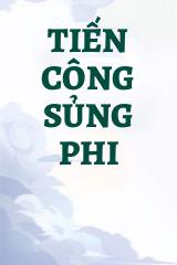 Tiến Công Sủng Phi