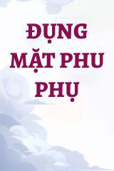 Đụng Mặt Phu Phụ