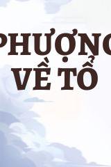 Phượng Về Tổ